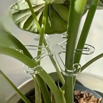 Support Plante - NewPlantFixingClip™ - Transparent