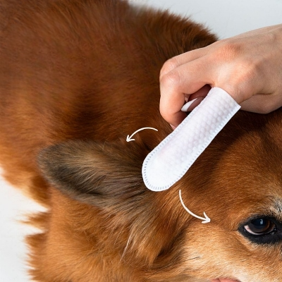 Toilettage Chien - DogCleaningFingerWipes™