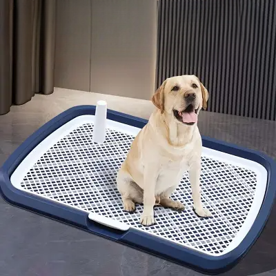 Toilette Pour Chien - DogPottyToilet™