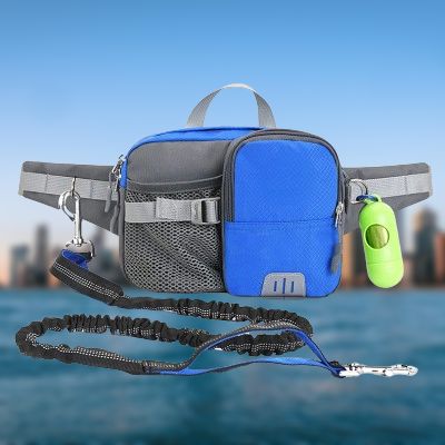 WaistBag™ - Bleu
