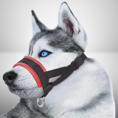 Muselière Chien - AntiBarkDogMouthMuzzle™ - Rouge