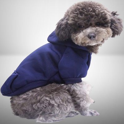 pull pour chien - PetDogClothes™ - Bleu
