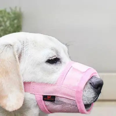 Muselière Chien - NewDogMuzzles™ - Rose