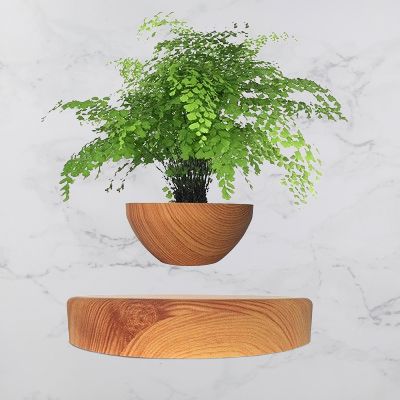 Pot de Fleurs Intérieur - LevitatingPot™ - Bois