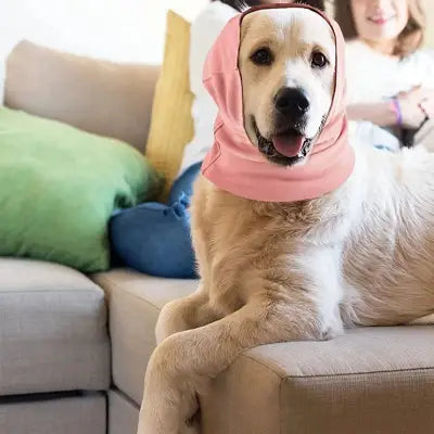 Accessoire Chien - DogWindproofEarmuff™