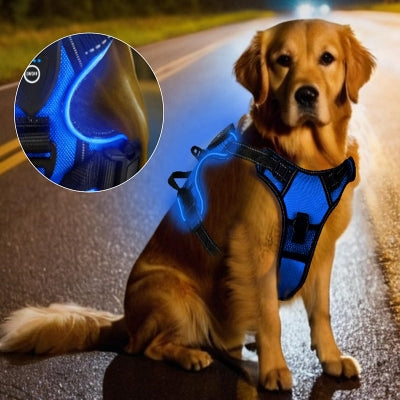 Harnais Chien - LEDDogHarnesses™ - Bleu