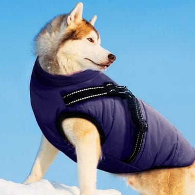 imperméables pour chiens - HarnessDogJacket™ - Bleu