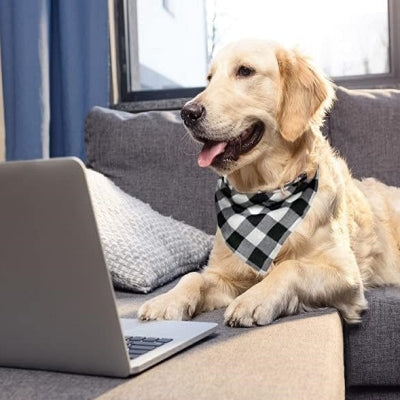 Bandana Pour Chien - ClassicPlaidDog™ - Noir&blanc