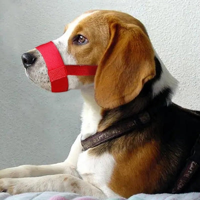 Muselière Chien - DogMuzzleAnti-bite™ - Rouge