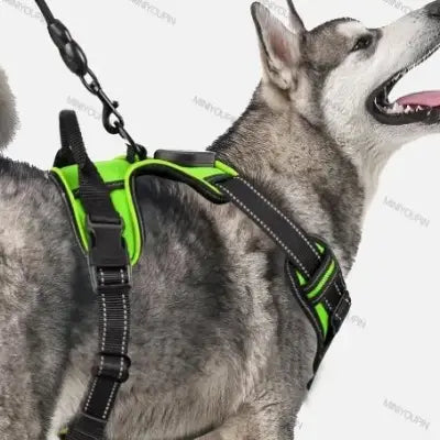 Harnais Chien - LEDDogHarnesses™ - Vert