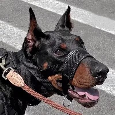Muselière Chien - AntiBarkDogMouthMuzzle™ - Noir