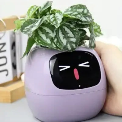 Pot de fleurs -  SmartPlanter™ - Mauve