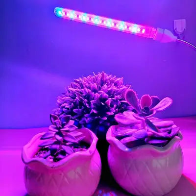 Lampe Pour Plante - LEDFullSpectrumPlant™