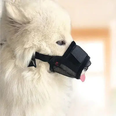 Muselière Chien - NewDogMuzzles™ - Noir