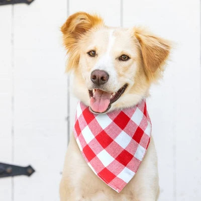 Bandana Pour Chien - ClassicPlaidDog™ - Rouge&blanc