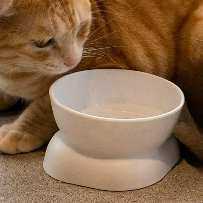 Gamelle Chat - NewCatFoodBowl™ - Blanc
