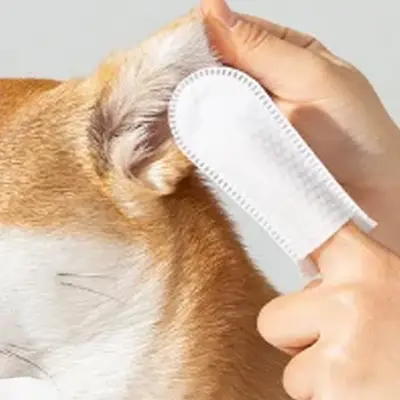 Toilettage Chien - DogCleaningFingerWipes™