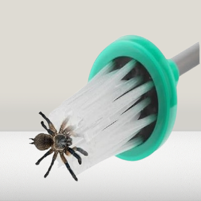Attrape araignée - FoldingSpiderCatcher™ - Vert
