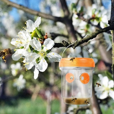 Piège à guêpes - SolarWaspTrap™ - Orange