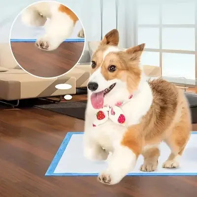 Tapis Absorbant Chien - DogSuperAbsorbentPads™