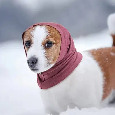 Accessoire Chien - DogWindproofEarmuff™