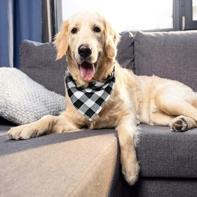 Bandana Pour Chien - ClassicPlaidDog™ - Noir&blanc