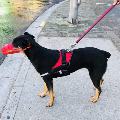 Muselière Chien - NewDogMuzzles™ - Rouge
