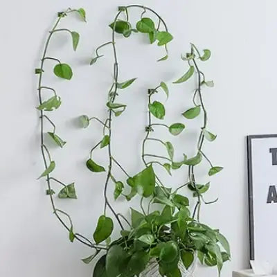 Support Plante - WallHangingPlantFixer™ - Vert