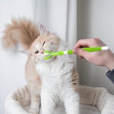 SidedPetToothbrush™ - Vert clair
