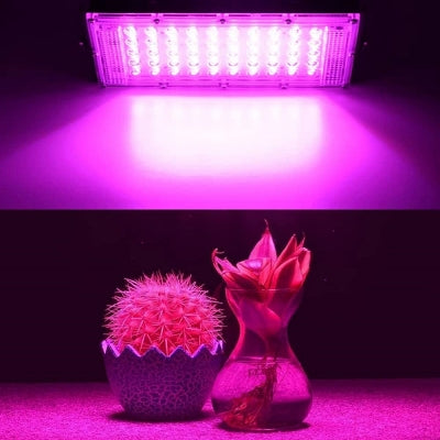 Lampe Plante - FullSpectrumPhytolamp™