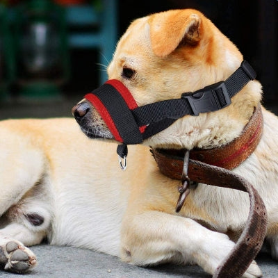 Muselière Chien - AntiBarkDogMouthMuzzle™ - Rouge