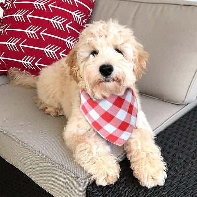 Bandana Pour Chien - ClassicPlaidDog™ - Rouge&blanc
