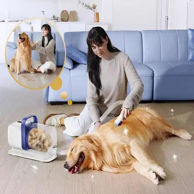 Toilettage Chien - ProDogGroomingKit™