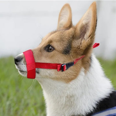 Muselière Chien - DogMuzzleAnti-bite™ - Rouge