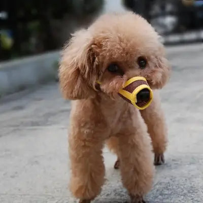 Muselière Chien - DogMuzzlePuppy™ - Jaune