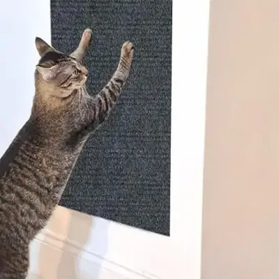 Grattoir Chat - CatsCarpetScratch™ - Gris