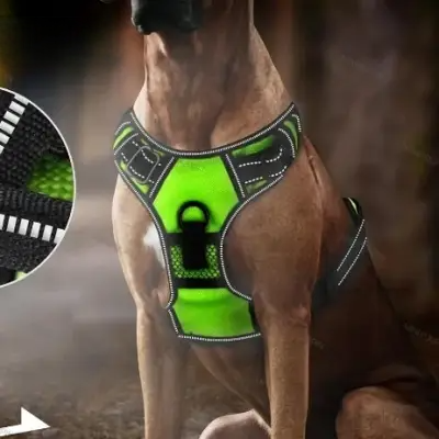 Harnais Chien - LEDDogHarnesses™ - Vert