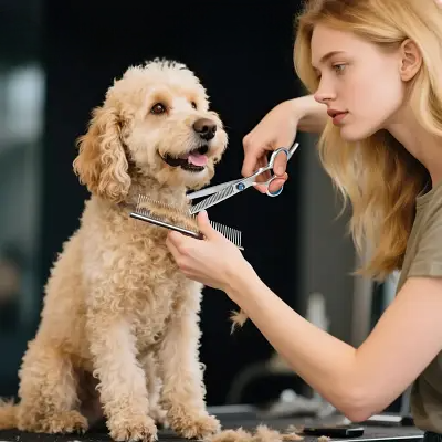 Toilettage Chien - ProDogGroomingScissors™