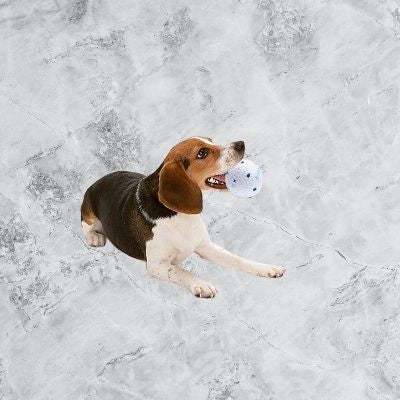 Balle pour chien - DogsPlayBall™ - Blanc