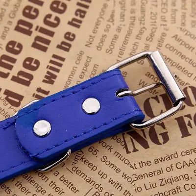 Collier Pour Chien - NewCatDogScarf™ - Bleu