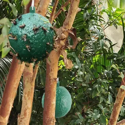 Piège à mouches - HangingFlyTrap™ -Vert