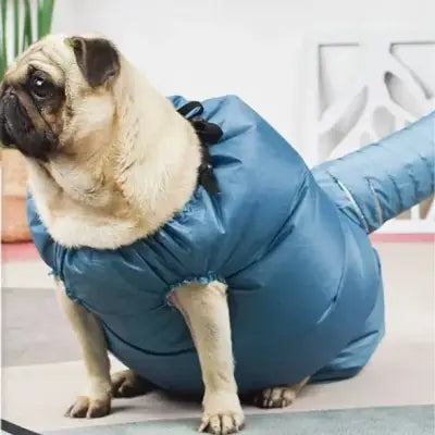 Toilettage Chien - AutomaticDogDryerBag™