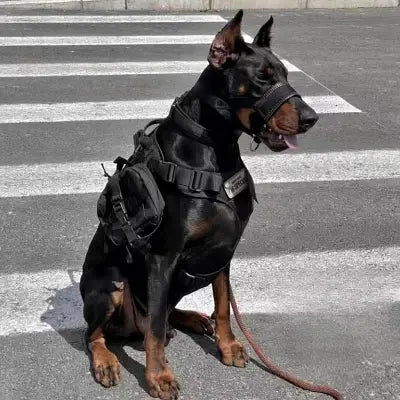Muselière Chien - AntiBarkDogMouthMuzzle™ - Noir