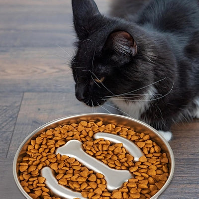 Gamelle Chat - StainlessSteelCatBowl™ - Os