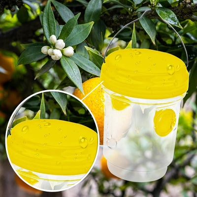 Piège à guêpes - SolarWaspTrap™ - Jaune