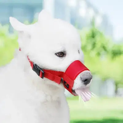 Muselière Chien - DogMuzzleAnti-bite™ - Rouge