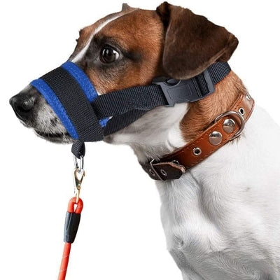 Muselière Chien - AntiBarkDogMouthMuzzle™ - Bleu