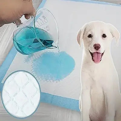 Tapis Absorbant Chien - DogSuperAbsorbentPads™