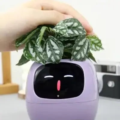 Pot de fleurs -  SmartPlanter™ - Mauve