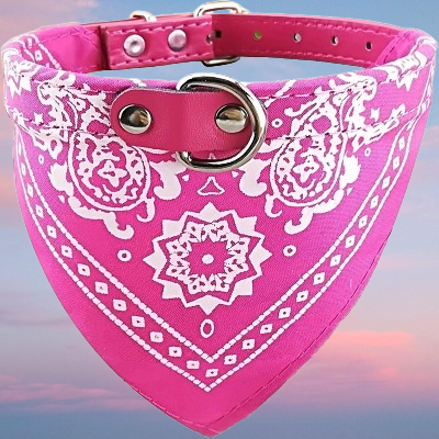 Collier Pour Chien - NewCatDogScarf™ - Rose